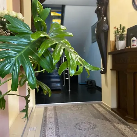 Hotel Prestige 3*